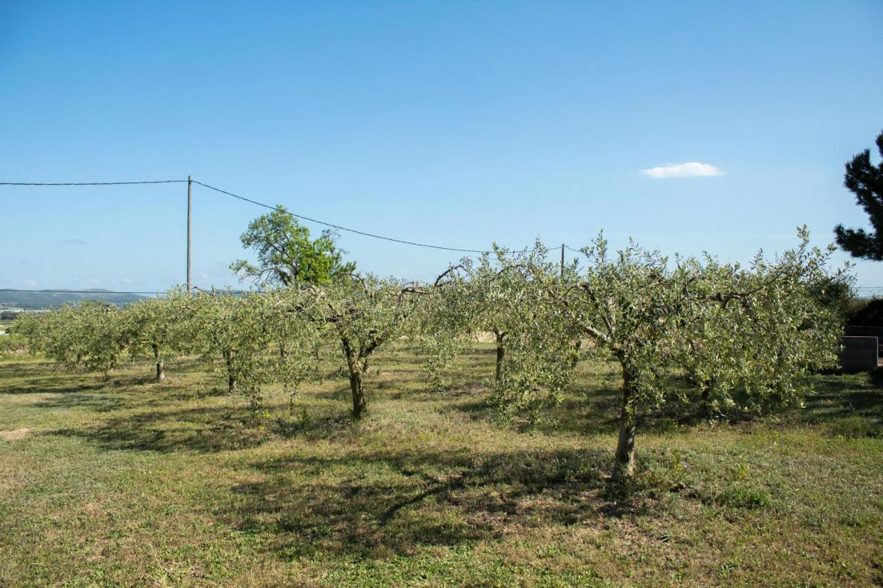 Romegosa Benestar Villa Sant Marcal Екстериор снимка