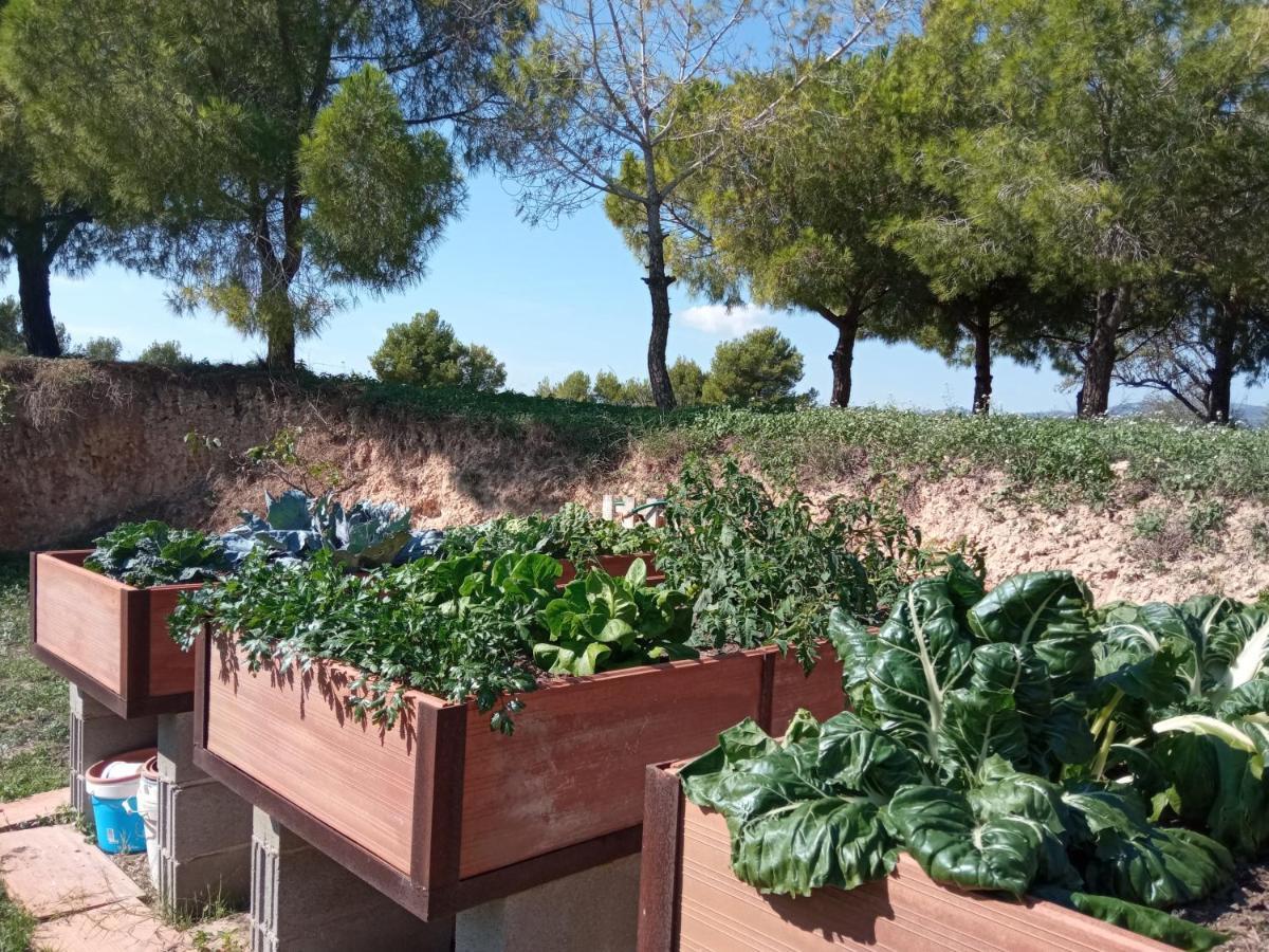 Romegosa Benestar Villa Sant Marcal Екстериор снимка