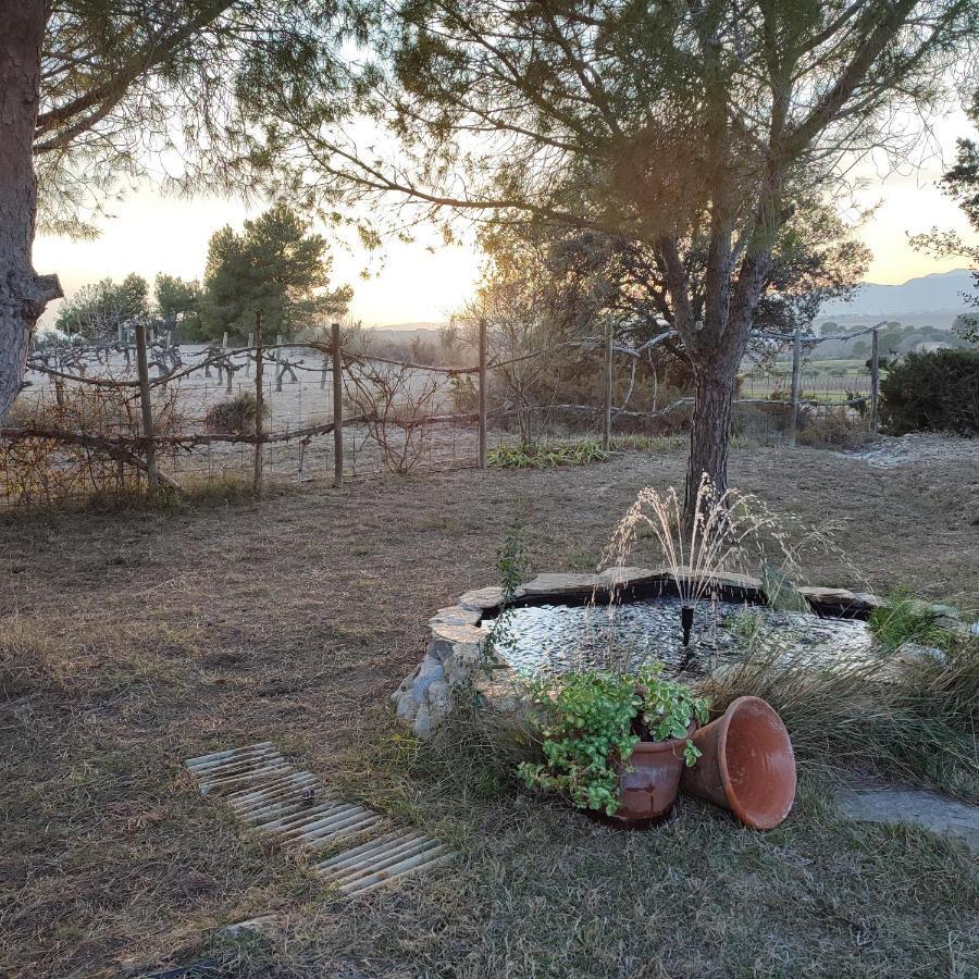 Romegosa Benestar Villa Sant Marcal Екстериор снимка